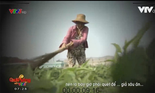 Người[-]trồng[-]rau[-]muốn[-]VTV[-]bồi[-]thường[-]sau[-]vụ[-]“Cây[-]chổi[-]quét[-]rau”